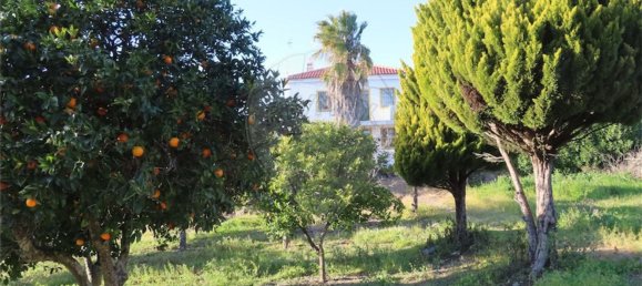 3 bedrooms House in Vila Velha de Rodao, Portugal No. 182019 40