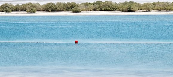 7 chambres Villa à Saadiyat Island, UAE No. 1625 11