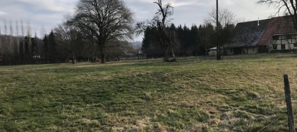  Land in Elbach, France No. 262485 2