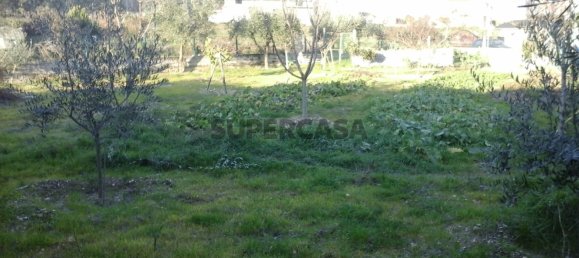 3 bedrooms House in Mangualde, Portugal No. 161346 5