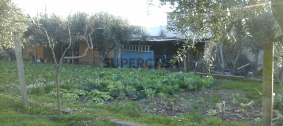 3 bedrooms House in Mangualde, Portugal No. 161346 6