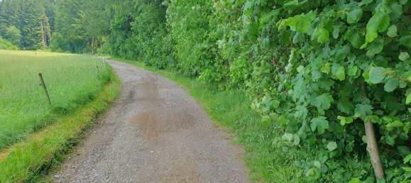  قطعة أرض في Miesbach, Germany رقم 142987 3