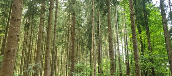  قطعة أرض في Miesbach, Germany رقم 142987 2