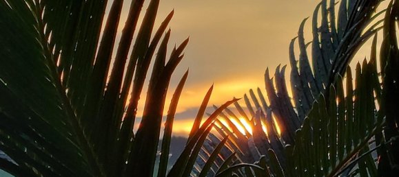 4 bedrooms Townhouse in Dingolfing-Landau, Germany No. 185113 35