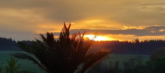 4 bedrooms Townhouse in Dingolfing-Landau, Germany No. 185113 9