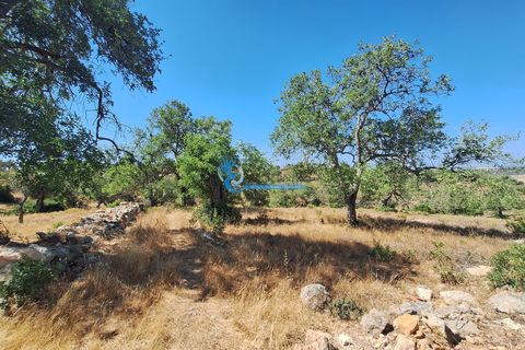 Terreno em Albufeira, Portugal N.º 220123