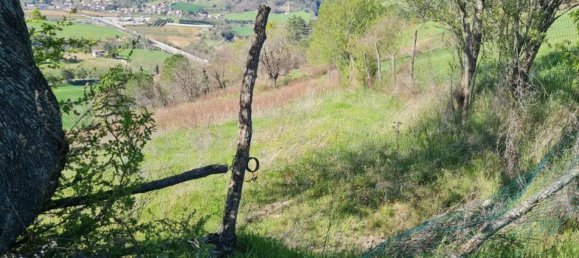 6-salle Maison à Montiano, Italy No. 15947 6