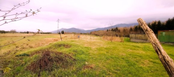 9 rooms Villa in San Giuliano Terme, Italy No. 143289 13