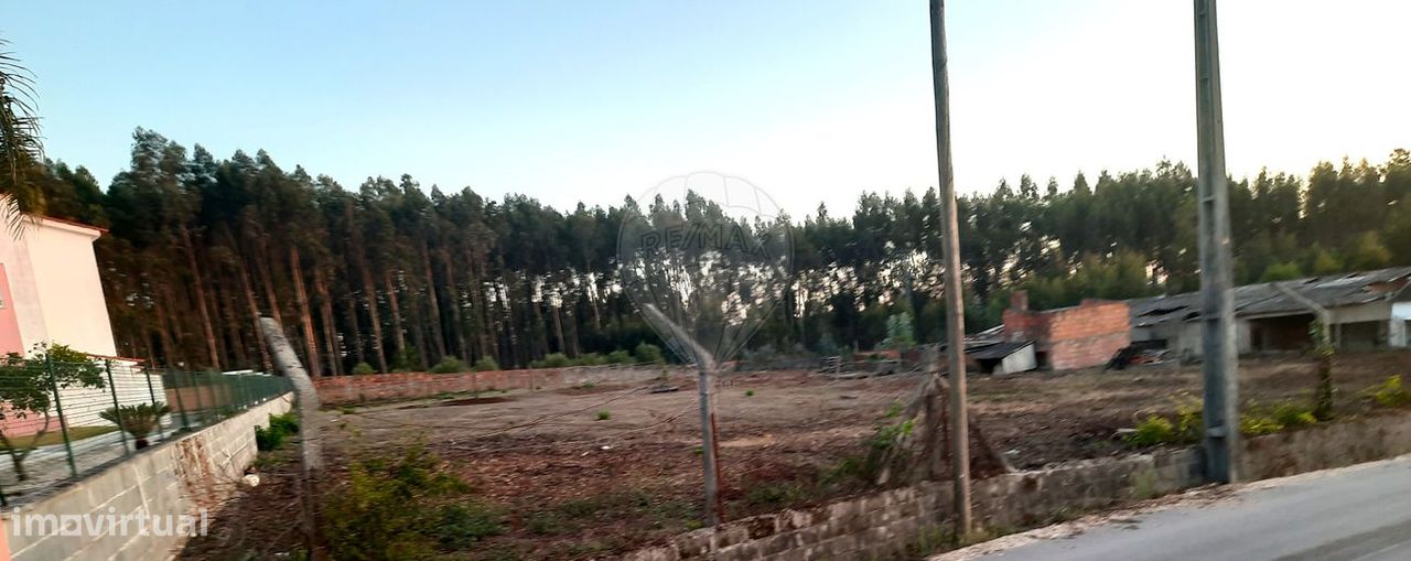 3950m² Land in Pombal, Portugal No. 81750