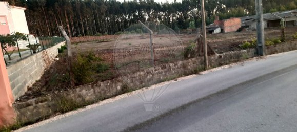 3950m² Land in Pombal, Portugal No. 81750 7