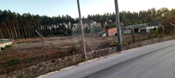 3950m² Land in Pombal, Portugal No. 81750 6