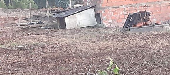 3950m² Land in Pombal, Portugal No. 81750 4