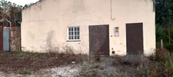 3950m² Land in Pombal, Portugal No. 81750 3