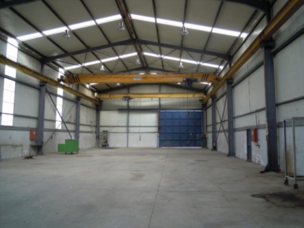 Property in Koropi, Greece 2009m², Nr. 6018