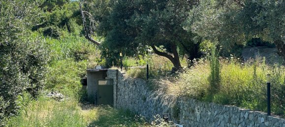 7 rooms Villa in Celle Ligure, Italy No. 290457 11