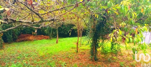 5 bedrooms House in La Chapelle-Saint-Martin-en-Plaine, France No. 240936 14