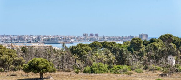 Apartamento de 2 dormitorios en Torrevieja, Spain No. 151956 11