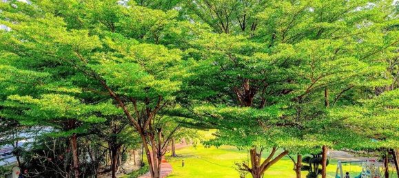 1 bedroom Condo in Bangkok, Thailand No. 2836 2