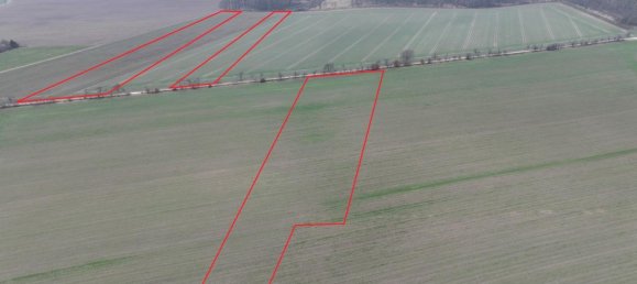 Granja de 12 habitaciónes en Nordsachsen, Germany No. 165717 10