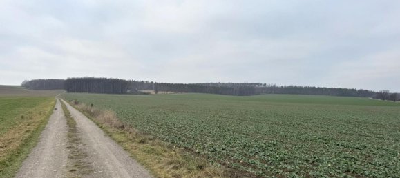 Granja de 12 habitaciónes en Nordsachsen, Germany No. 165717 12