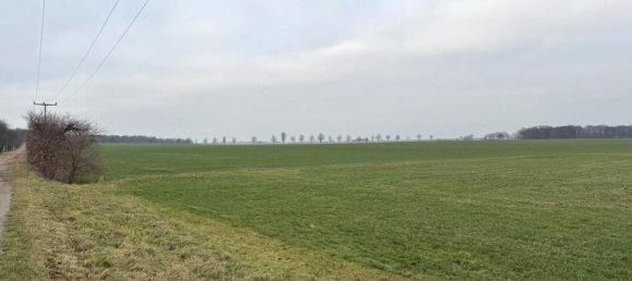 Granja de 12 habitaciónes en Nordsachsen, Germany No. 165717 11