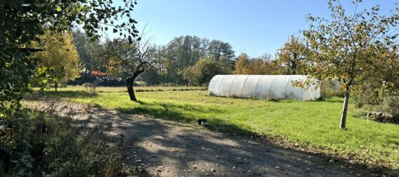 Granja de 12 habitaciónes en Nordsachsen, Germany No. 165717 9