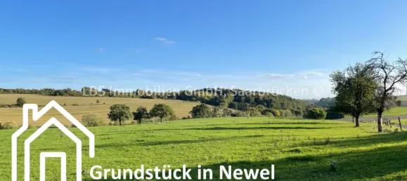  Land in Trier-Saarburg, Germany No. 280666 2