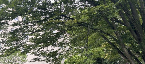 1 bedroom Apartment in Frankenthal, Germany No. 280099 2