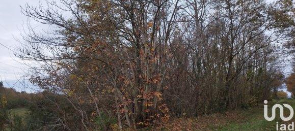 17682m² Land in Villefranche-sur-Cher, France No. 151999 2