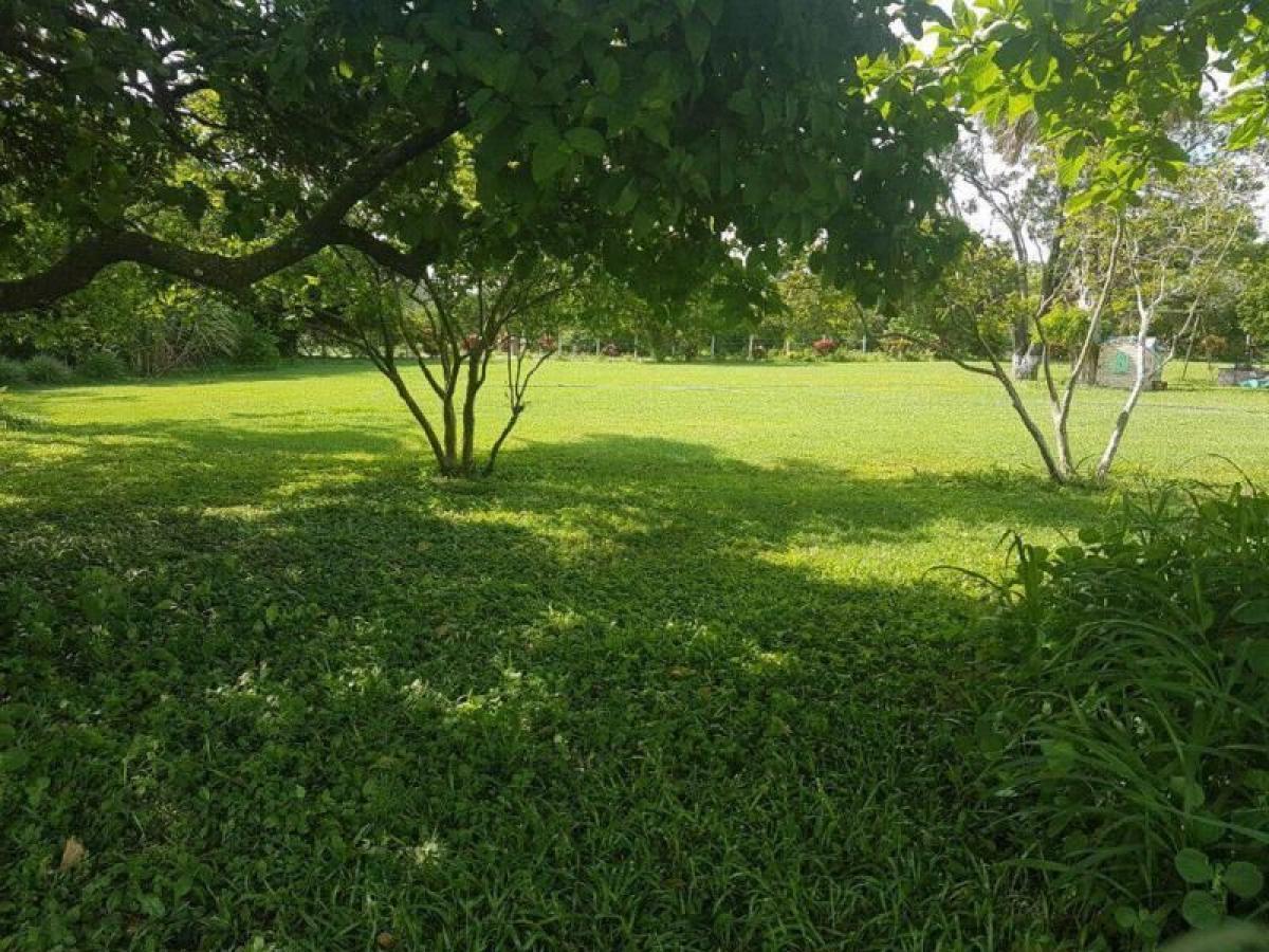 Grundstück in Veracruz, Mexico, Nr. 204612