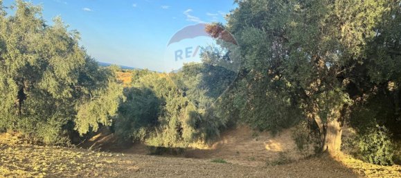 66200m² Land in Corigliano Rossano, Italy No. 277712 11