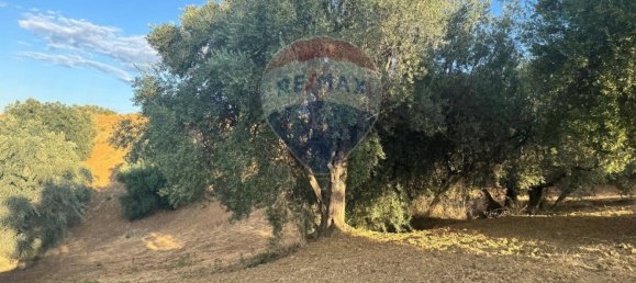 66200m² Land in Corigliano Rossano, Italy No. 277712 12