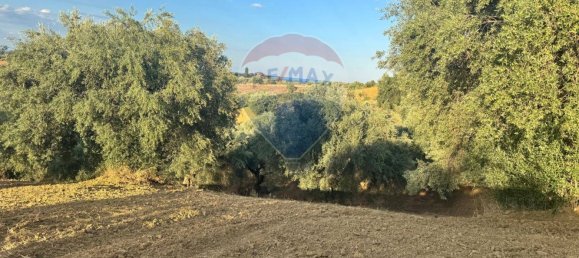 66200m² Land in Corigliano Rossano, Italy No. 277712 13