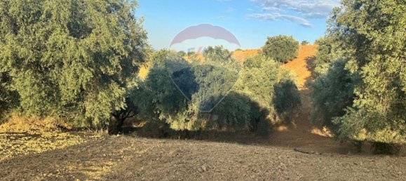 66200m² Land in Corigliano Rossano, Italy No. 277712 14