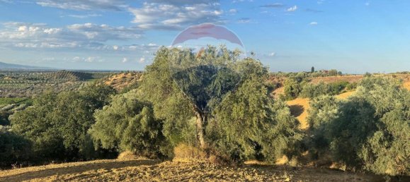 66200m² Land in Corigliano Rossano, Italy No. 277712 15