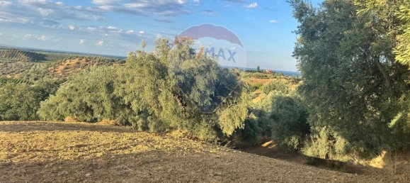 66200m² Land in Corigliano Rossano, Italy No. 277712 10