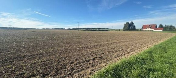  قطعة أرض في Mittelsachsen, Germany رقم 365148 8