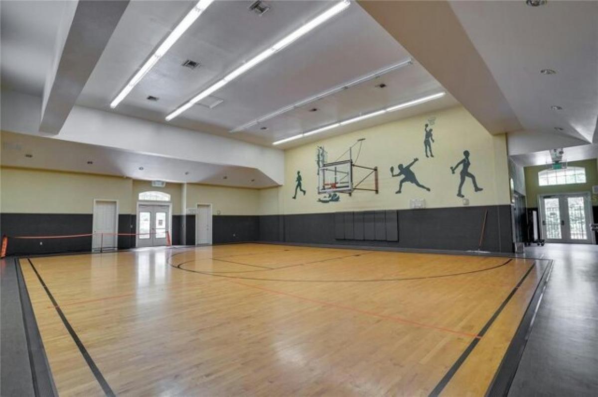 Studio in Tampa, USA No. 242370