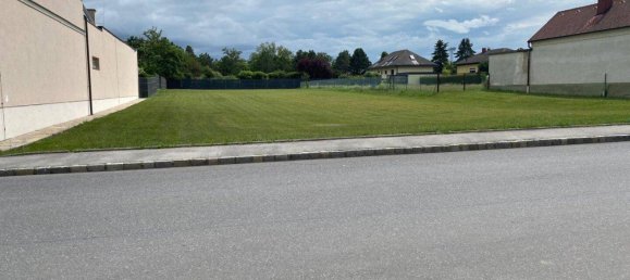 905m² Land in Untersiebenbrunn, Austria No. 153569 2