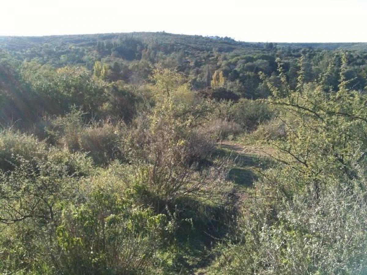  Land in Cordoba, Argentina No. 38082