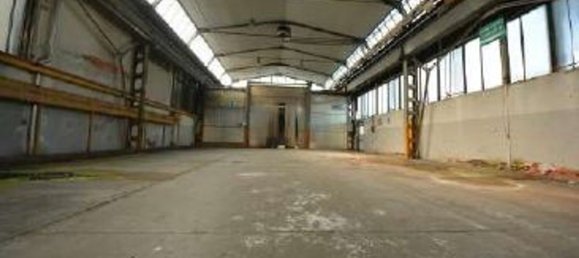 31540m² Warehouse in San Carlo Canavese, Italy No. 372325 19