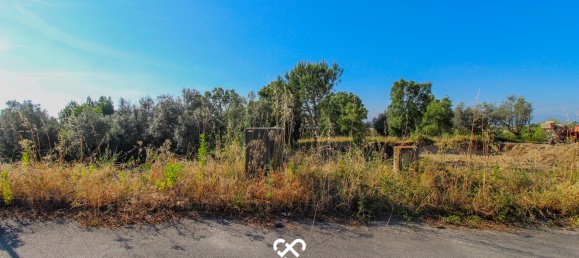 Terreno en Nelas, Portugal No. 62153 2