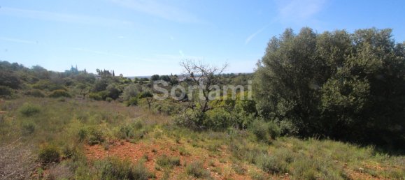 Terreno en Loule, Portugal No. 87777 20