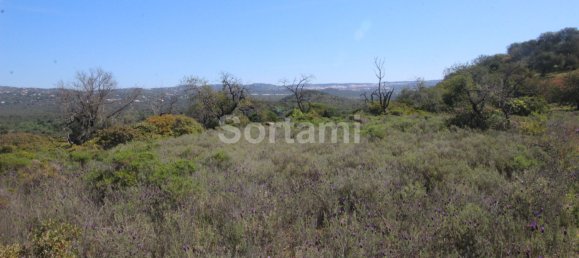 Terreno en Loule, Portugal No. 87777 23