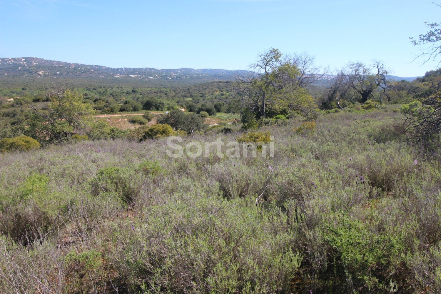 Terreno en Loule, Portugal No. 87777