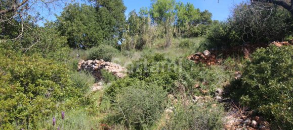 Terreno en Loule, Portugal No. 87777 17