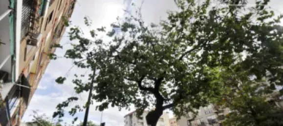 3 Schlafzimmer Wohnung in Valencia, Spain, Nr. 155251 41