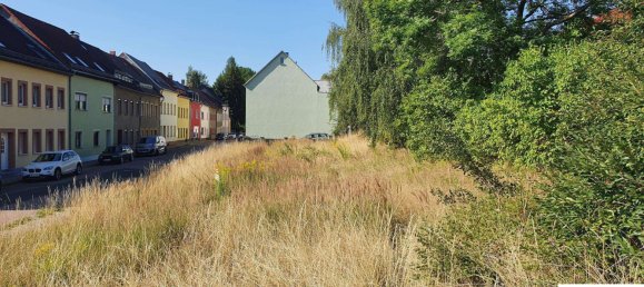 Terrain à Mittelsachsen, Germany No. 141952 5