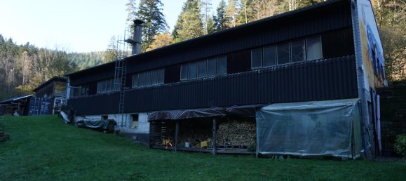 5 bedrooms House in Baden-Wurttemberg, Germany No. 997 8