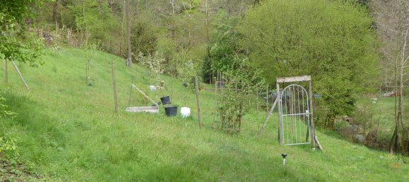 5 bedrooms House in Baden-Wurttemberg, Germany No. 997 5